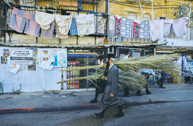  SUKKAH BROUHAHA: Toting schach in Mea She’arim. (photo credit: OLIVIER FITOUSSI/FLASH90)