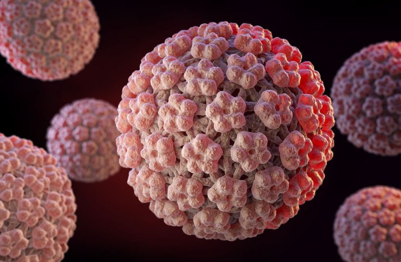  Human papillomavirus (HPV) is a DNA virus from the papillomavirus family. (photo credit: INGIMAGE)