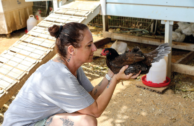  The Freedom Farm Sanctuary in Olesh serves as a shelter for rescued animals from the meat and dairy industry. (photo credit: MARC ISRAEL SELLEM)
