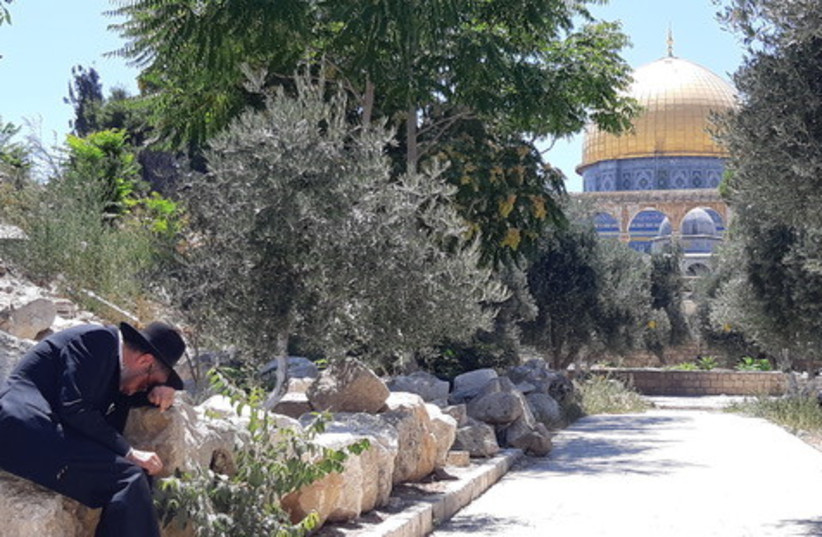  Jewish man prays at the Temple Mount in front of the Dome of the Rock (credit: JEREMY SHARON)