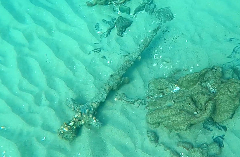  The Crusader sword as discovered on the seabed by the diver.  (credit: Shlomi Katzin/Israel Antiquities Authority)