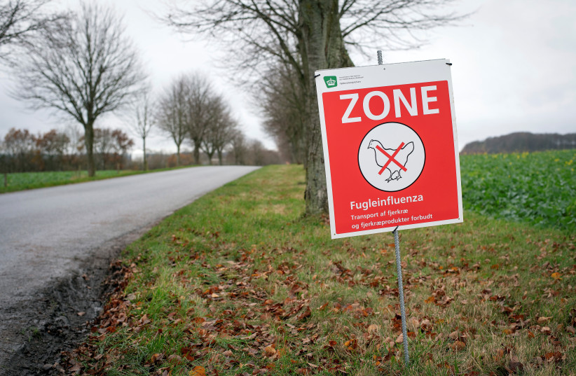  A sign warns about the avian influenza in an area of Randers, Denmark November 17, 2020 (photo credit: VIA REUTERS)