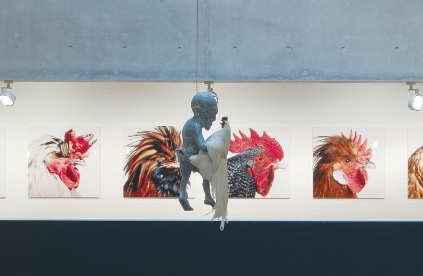  The Jester mixed media work from Belgian conceptual artist Koen Vanmechelen's ecologically driven global Cosmopolitan Chicken Project (photo credit: Enrico Cano)