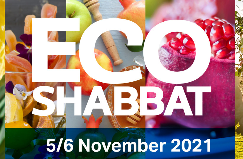  AN ECOLOGICAL Shabbat will be had by all this weekend.  (credit: EcoSynagogue)