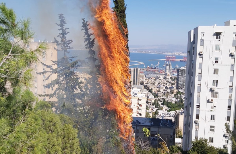  A brush fire broke out in Haifa on a sloping patch of land between two roads, on November 8, 2021. (credit: HAIFA FIRE AND RESCUE SPOKESPERSON)