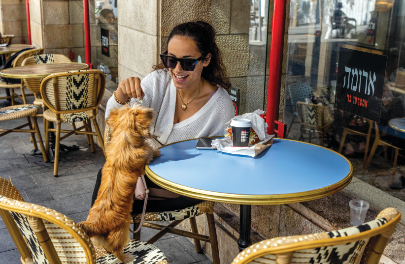  DRAMATIC CHANGES ahead: Grabbing a bite with a furry friend at a Jerusalem Aroma.  (photo credit: NATI SHOHAT/FLASH90)