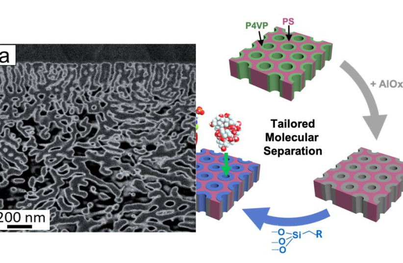  On the right: The fabrication process of the membranes. Metal oxides are grown within the membrane channels to precisely tunes the pore size, after which a reaction is generated to create a membrane possessing unique physical properties. On the left: Cross-sectional image of the membrane, showing t (photo credit: TECHNION SPOKESPERSON'S OFFICE)