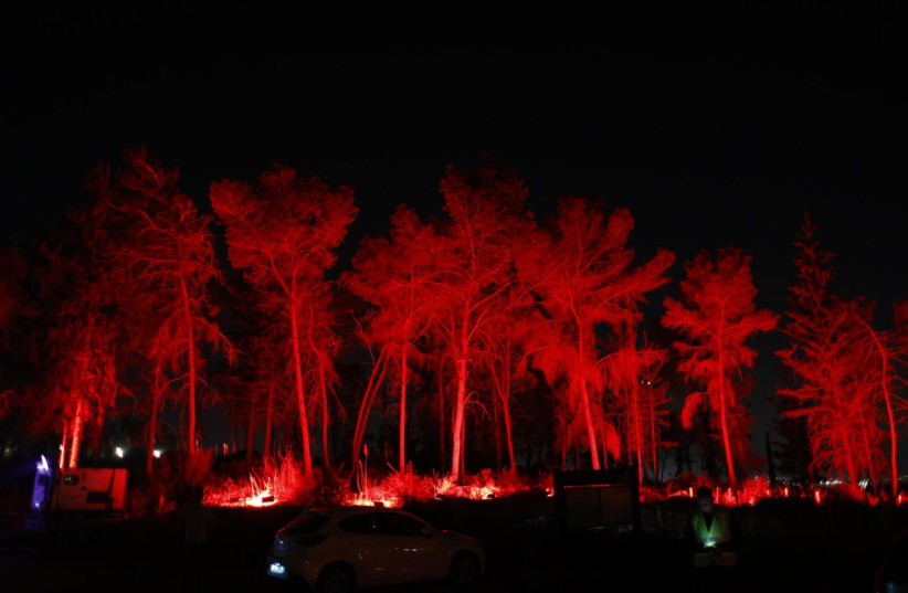  KKL-JNF lights up the Ben Shemen Forest with the color red, marking the International Day for the Elimination of Violence against Women (credit: KKL-JNF)