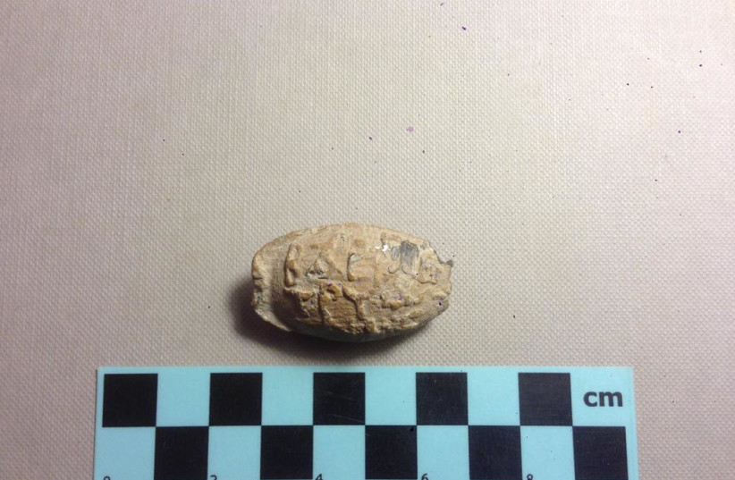  The 3cm. lead projectile discovered at a South Hebron Hills archaeological site (photo credit: COGAT SPOKESPERSON'S UNIT)