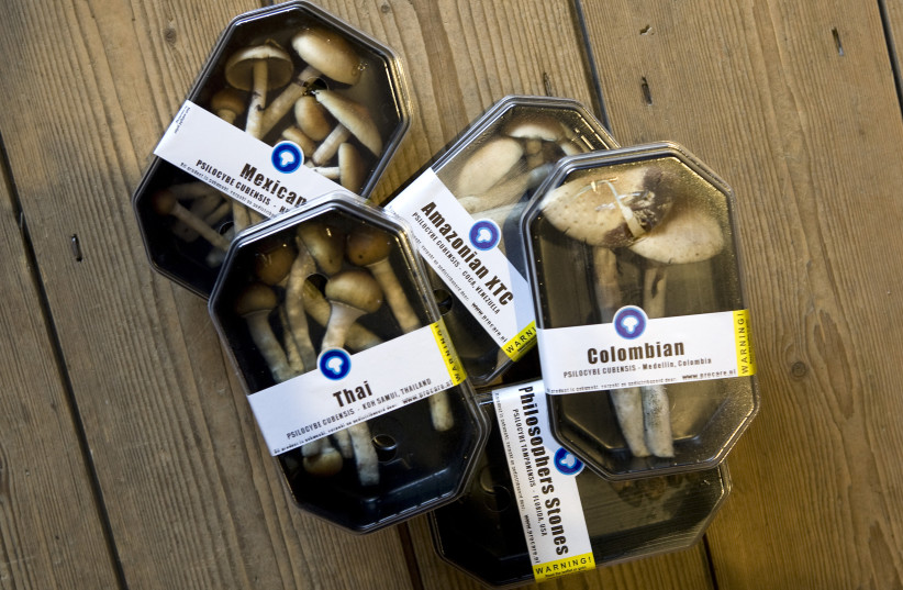 Boxes containing magic mushrooms are displayed at a coffee and smart shop in Rotterdam November 28, 2008. (credit: REUTERS/JERRY LAMPEN)