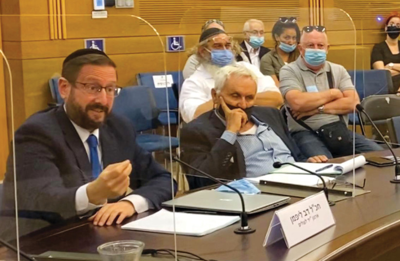  Lipman addresses a Knesset committee imploring MKs to modify the rules for non-citizens trying to come to Israel. (credit: MARC ISRAEL SELLEM)