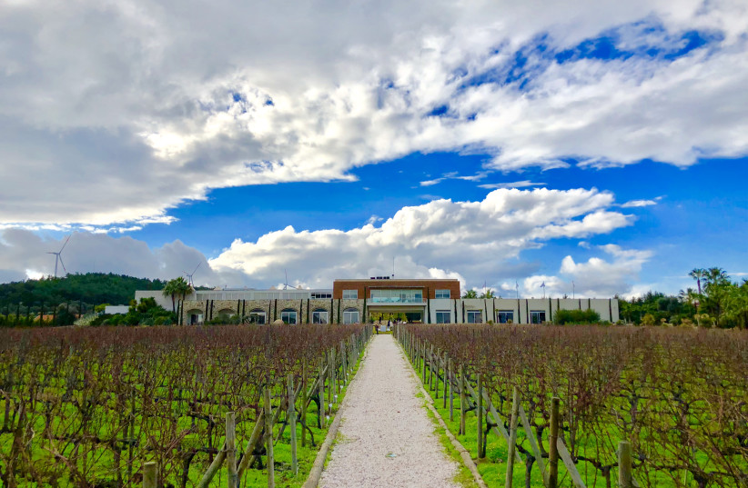 THE VINEYARDS in the foreground of the winery, where they grow international and local grape varieties. (credit: ADAM MONTEFIORE)