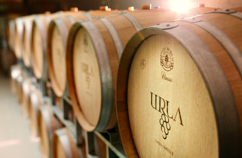  THE BARREL cellar at Urla Winery where the wines quietly mature.  (credit: ADAM MONTEFIORE)