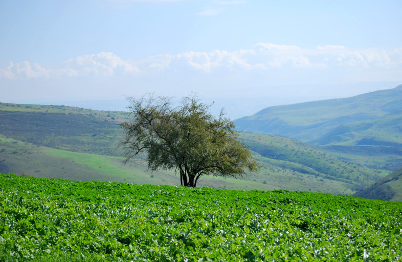 Mount Tabor (photo credit: HADAR YAHAV)