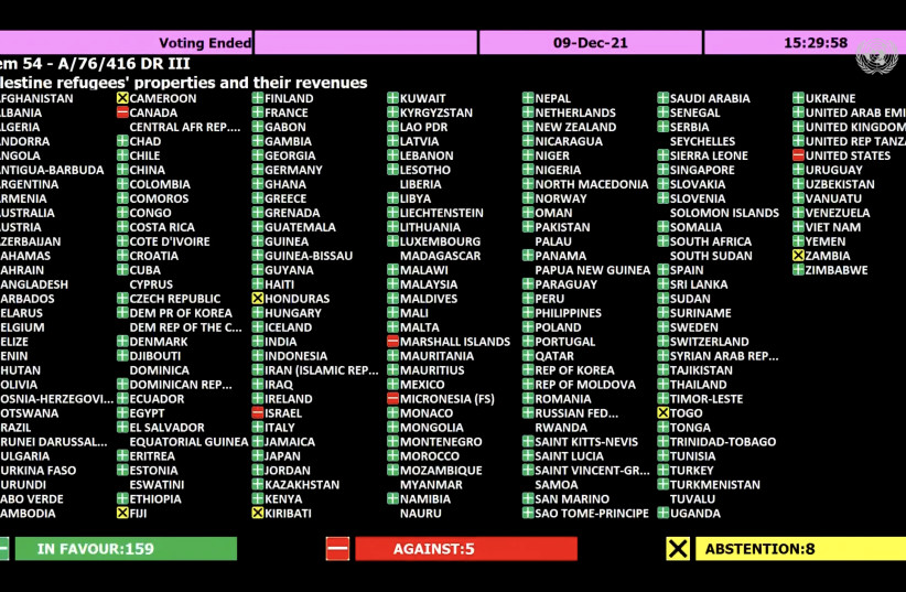 UNGA vote on Palestinian refugees, their properties and their revenues (credit: UN WEB TV/SCREENSHOT)