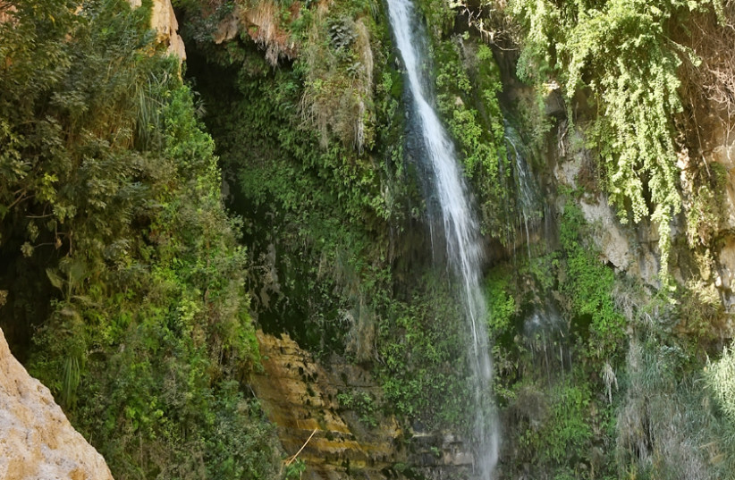  Ein Gedi waterfall (credit: ITSIK MAROM)