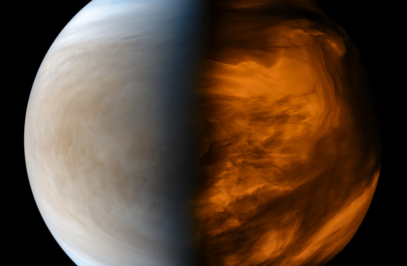  Venus (illustrative). (credit: Wikimedia Commons)