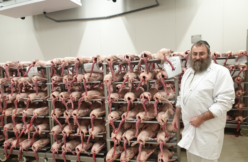 Hungary is Europe's unlikely leader in kosher foie gras - Vimarsana News