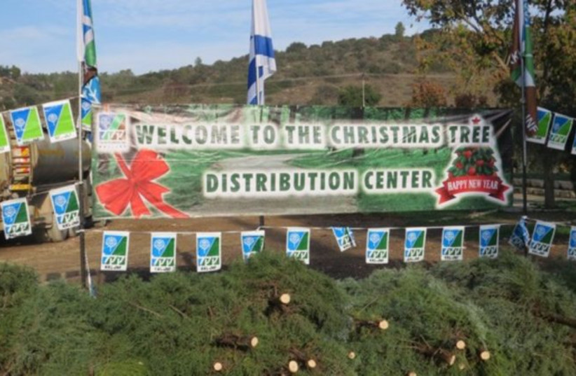  KKL-JNF distribution of Christmas trees to Christian organizations across Israel, December 14, 2021. (photo credit: KKL)