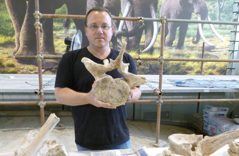  Prof. Ran Barkai with ancient  elephant bone. (photo credit: Courtesy of Tel Aviv University)