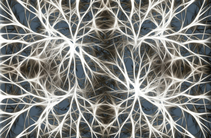  Neurons in the brain (photo credit: PIXABAY)
