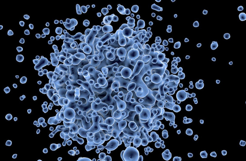  Virus microbiology cell (illustrative)  (photo credit: PIXABAY)