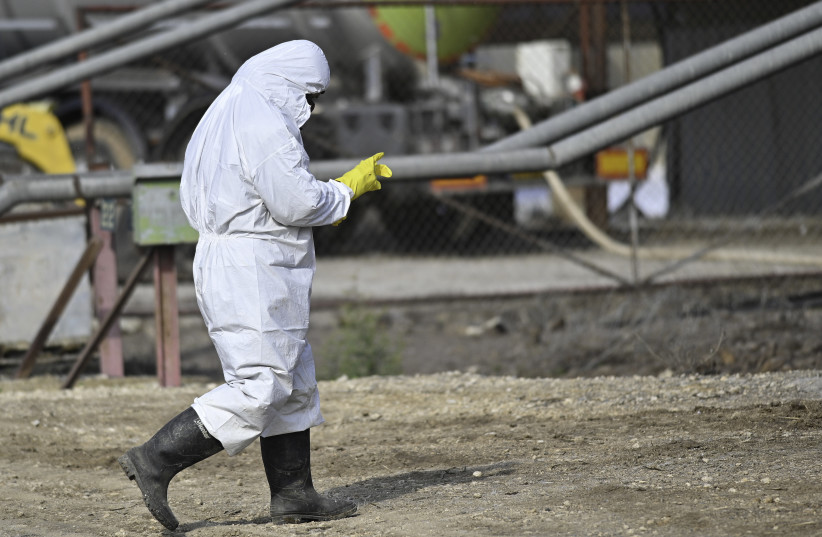   Workers in protective gear seen in Moshav Givat Yoav, in northern Israel, December 29, 2021, following an outbreak of the Avian influenza.  (photo credit: MICHAEL GILADI/FLASH90)