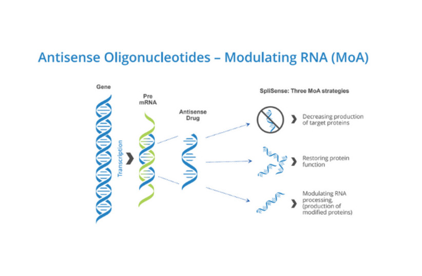  Using RNA to treat Cystic Fibrosis (credit: SpliSense)