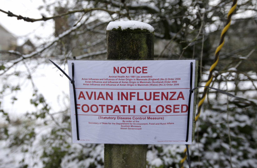 A sign at the edge of an exclusion zone warns of the closure of a footpath after an outbreak of bird flu in the village of Upham in southern England, February 3, 2015. (photo credit: REUTERS/PETER NICHOLLS)