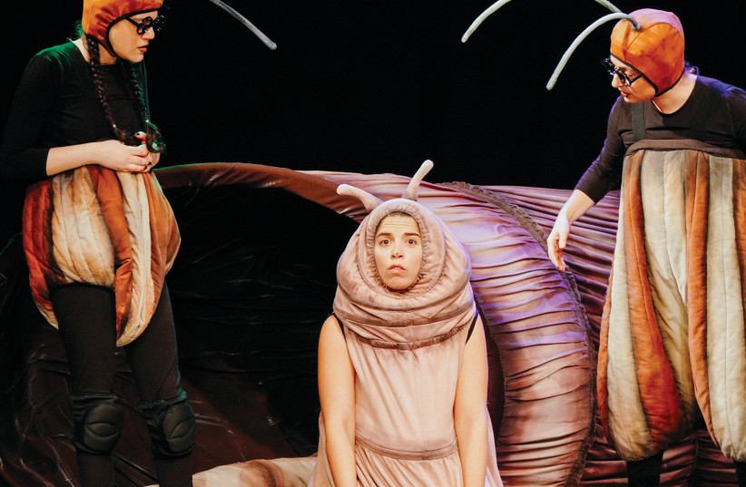  THE WHIMSICAL show takes a deep dive into the mysterious world of insects. (photo credit: Yakir Peretz/Courtesy MashuMashu)
