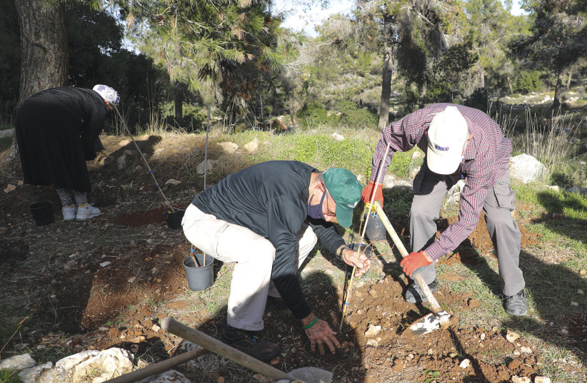  PEOPLE PLANT trees at the Oz Vegaon nature preserve in Gush Etzion on the eve of Tu Bishvat last year. (photo credit: GERSHON ELINSON/FLASH90)