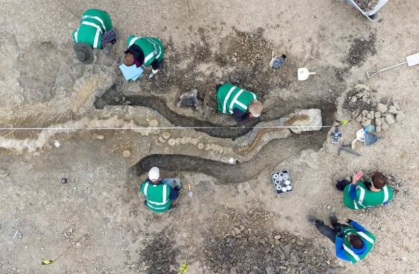  Palaeontologists work at a site where remains of a Britain's largest ichthyosaur were found, at Rutland Water, Rutland county, Britain. (credit: Anglian Water/Matthew Power Photography via REUTERS)
