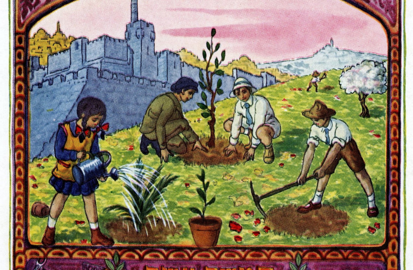 Tu Bishvat: Planting trees in Israel - Vimarsana News