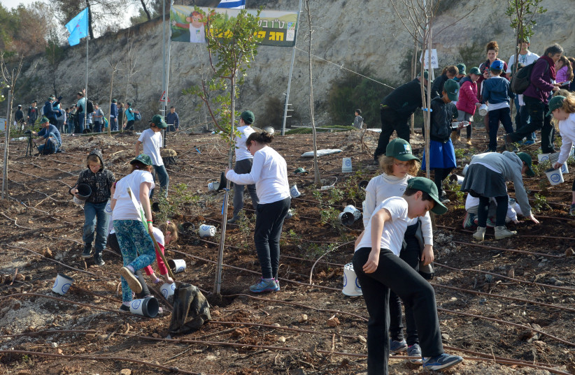  Israeli kids plant trees for the Jewish holiday of Tu Bishvat in Haifa on February 9, 2017. Tu Bishvat is also called literally ''New Year of the Trees.'' In contemporary Israel the day is celebrated as an ecological awareness day and trees are planted in celebration.  (credit: YOSSI ZELIGER/FLASH90)