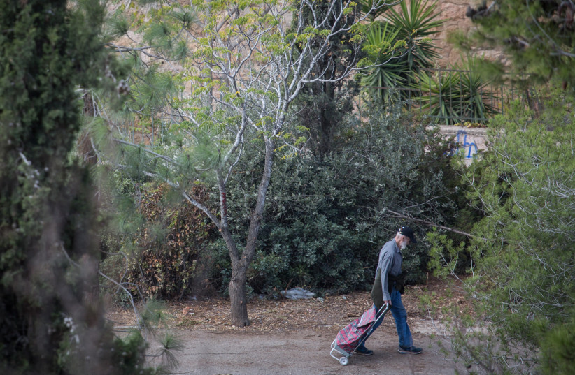  A man walks on a tree-lined sidewalk near the Valley of the Cross park in Jerusalem, Nov. 5, 2018. (photo credit: HADAS PARUSH/FLASH90)