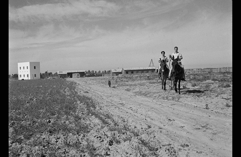  Members of the original Kibbutz Kfar Darom, then located in the Gaza Strip, ride mules to work in the fields in 1947 (photo credit: KLUGER ZOLTAN/GPO)