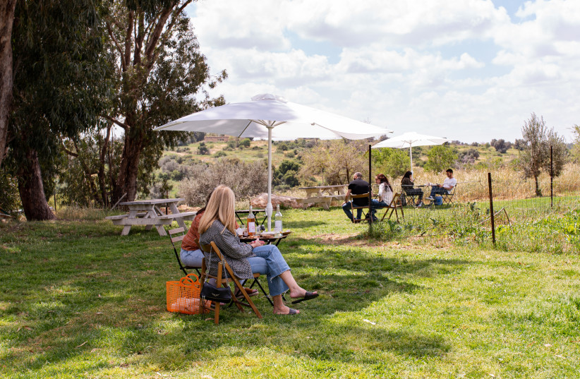  THE AGUR Winery garden, a place to sit and sip in an atmosphere of peace and tranquility. (credit: Agur Winery)