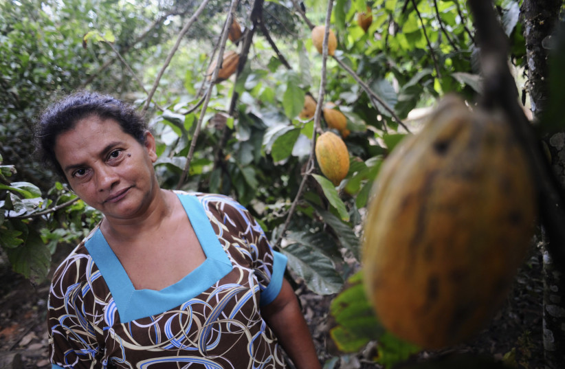 Brazilian Ivonildes Santos Sousa poses next to the cacao trees she planted on her property in the sustainable development community PDS Esperanca, in Anapu, June 3, 2012. (photo credit: REUTERS/LUNAE PARRACHO)