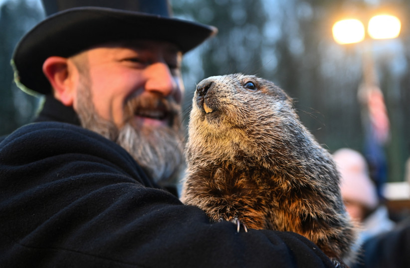  Punxsutawney Phil's handler A.J. Dereume holds the famous groundhog during the 136th Groundhog Day, at Gobblers Knob in Punxsutawney, Pennsylvania, US, February 2, 2022.  (photo credit: ALAN FREED/REUTERS)