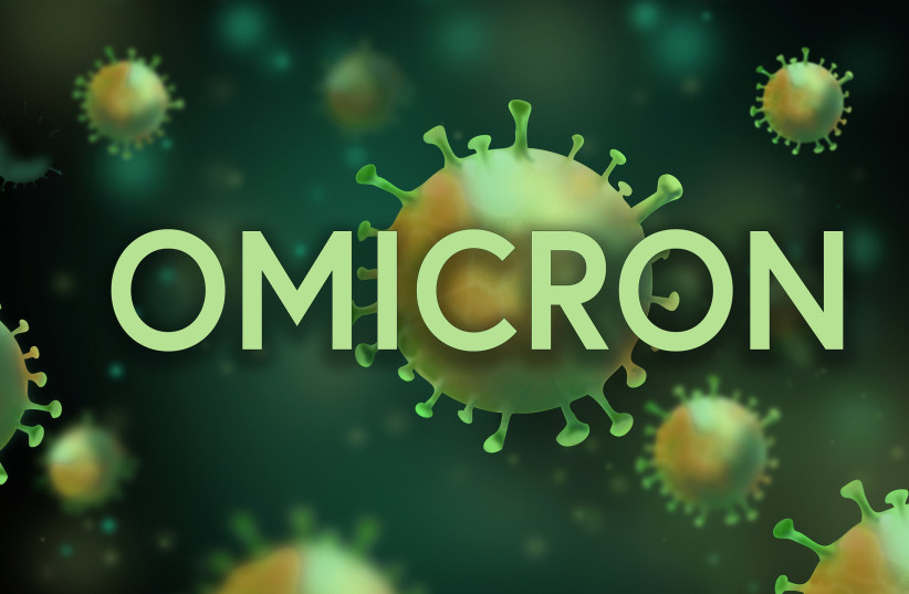  The coronavirus Omicron variant (illustrative). (photo credit: PIXABAY)