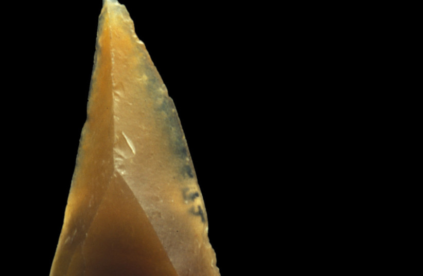 French cave reveals evidence of first modern humans in Europe - Vimarsana News