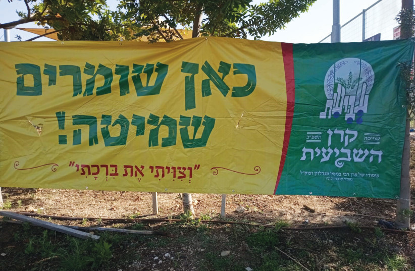  SIGN FROM Kibbutz Sha’alvim field proclaims, ‘Here we observe shmita.’ The verse underneath reads: ‘I will ordain my blessing for you.’ (credit: Kibbutz Sha’alvim)
