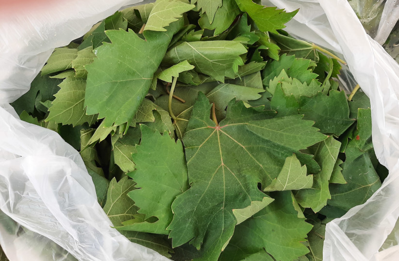  VINE LEAVES in the market, bagged up waiting for the buyer who wants to make stuffed vine leaves.  (credit: ADAM MONTEFIORE)