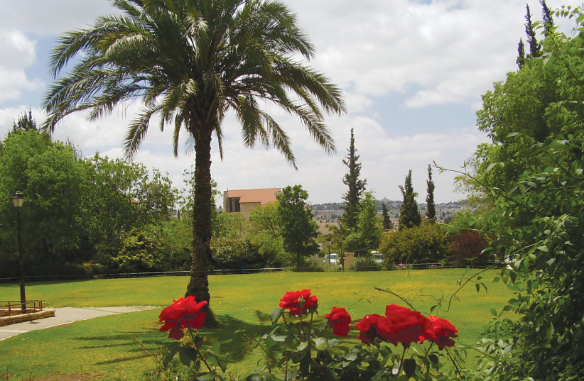  WILL TALBIYEH'S verdant Rose Garden be the site of a cafe? (photo credit: Wikimedia Commons)