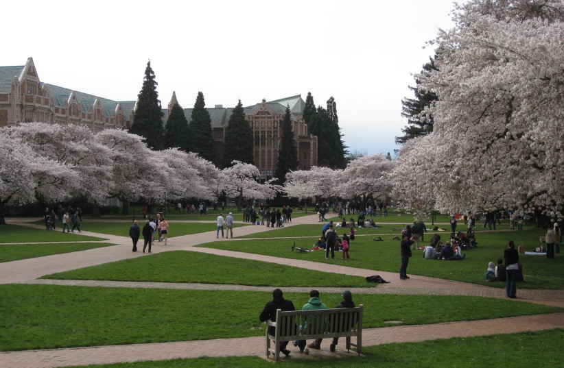  Cherry blossoms on the University of Washington Quad in Seattle, March 14, 2010.  (photo credit: CREATIVE COMMONS)