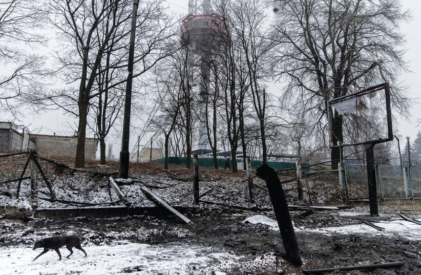  A DOG WALKS through debris on the street in front of the Kyiv TV Tower where a rocket struck on Tuesday. The tower stands very close to the Babyn Yar Holocaust Memorial Center. (photo credit: Chris McGrath/Getty Images)