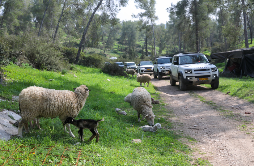 Day trip in the Lachish region driving a new Land Rover - Vimarsana News