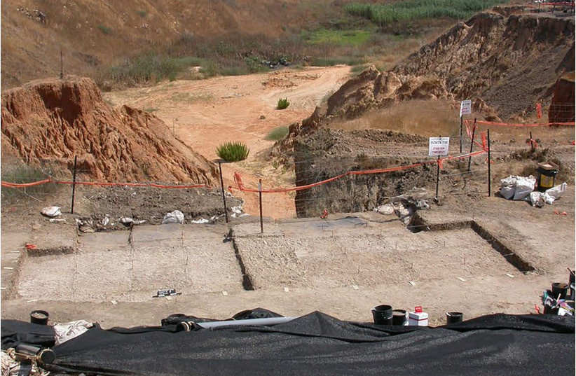  A picture of the prehistoric site of Revadim during excavation. (photo credit: TEL AVIV UNIVERSITY)