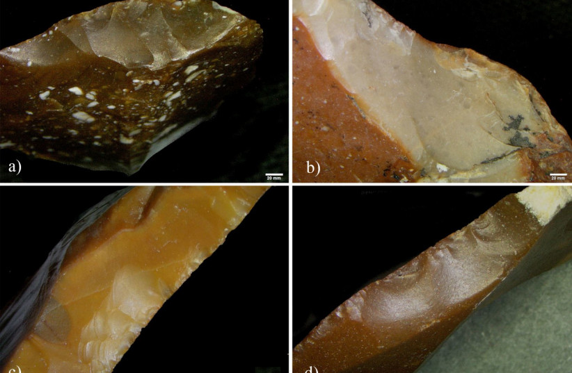  Close-up on the new active edge of four flint tools from Revadim. One can see the differences in colors and texture between the new modified edges and the outer patinated, old, surfaces. (credit: TEL AVIV UNIVERSITY)