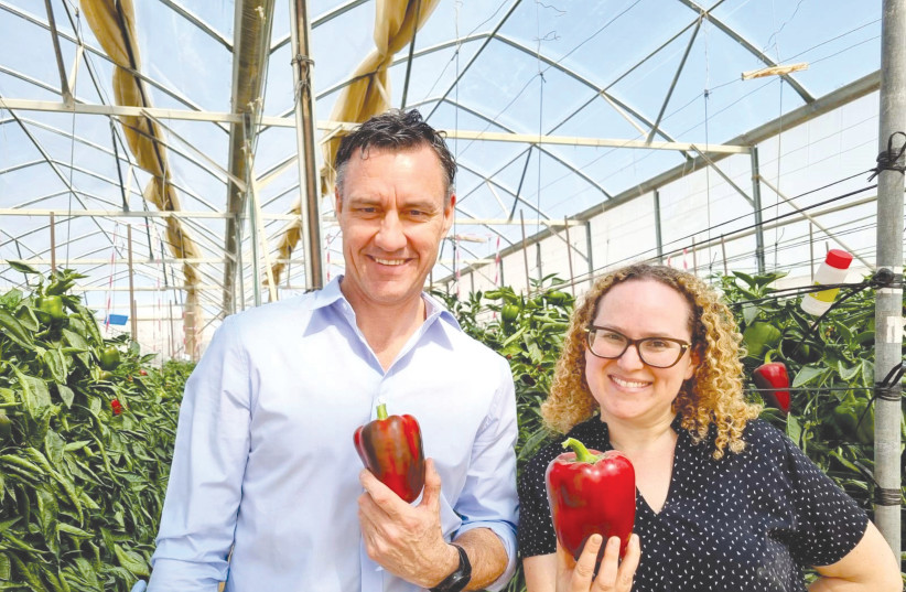  AUSTRALIAN AMBASSADOR Paul Griffiths and Sarit Fishbane, of the Australian Trade and Investment Commission, with Arava red peppers.  (credit: SAMANTHA LEVY)